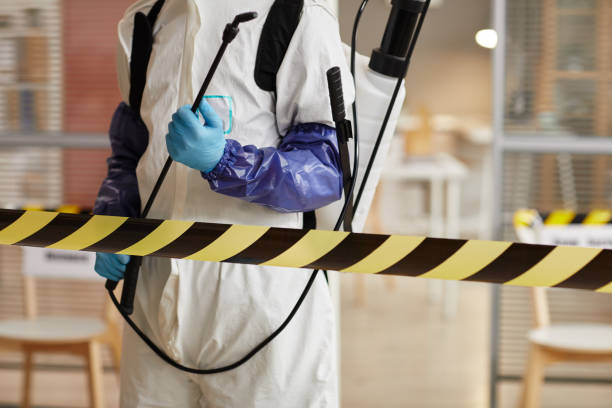 Professional Sewage Cleanup technician working in Rocky River, OH