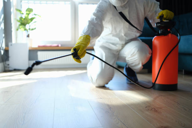 Reliable Sewage Cleanup contractor in Rocky River, OH by Trauma Clean Pros